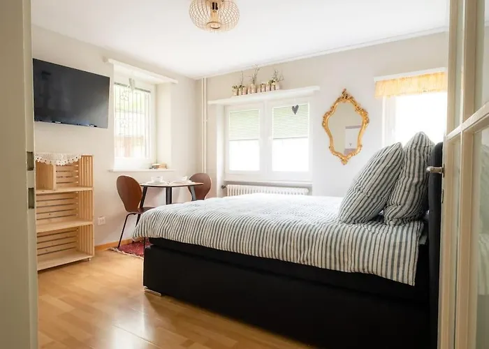 Apartment Im Herzen Der Zuercher Altstadt Zurich