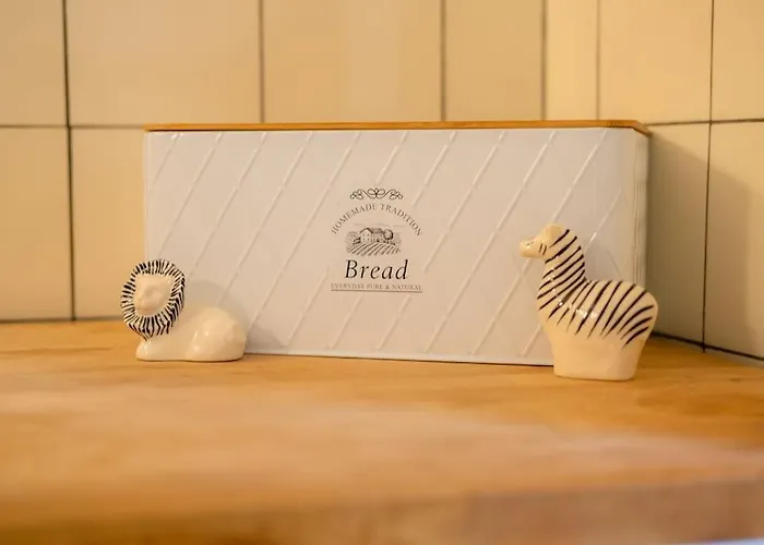 Apartment Im Herzen Der Zürcher Altstadt