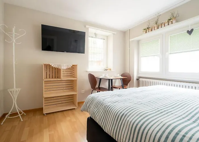 Im Herzen Der Zürcher Altstadt Apartment *